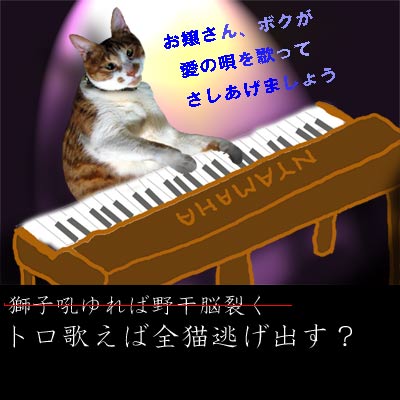 加工画像：ピアノを弾く猫