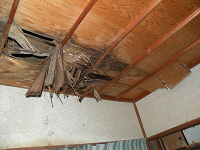 雨漏りで腐った天井