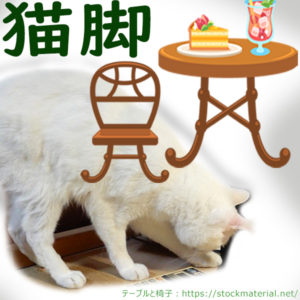 猫脚の椅子・テーブルと本物の猫