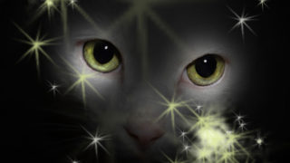 宇宙に浮かぶ猫の目