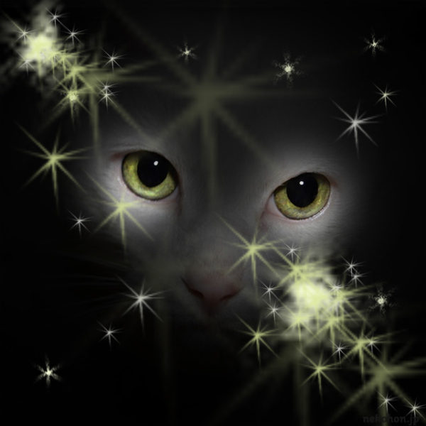 宇宙に浮かぶ猫の目